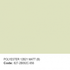 POLYESTER 12B21 MATT (B)